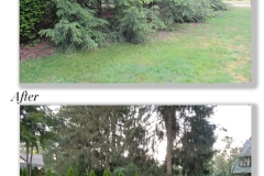 john_ehrmin_fy_before_after